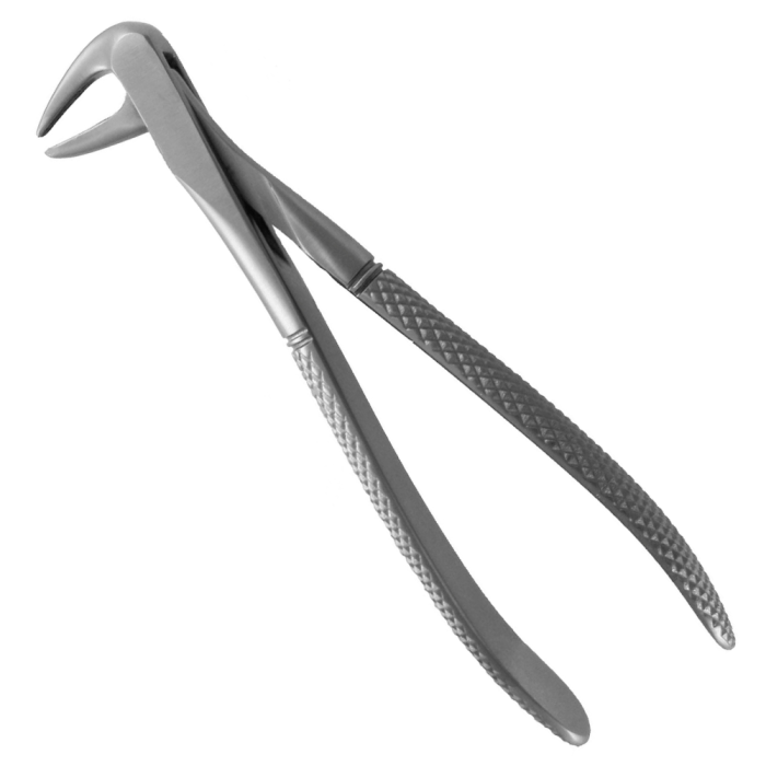 Dental Forceps