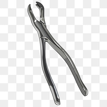 Surgical Forceps